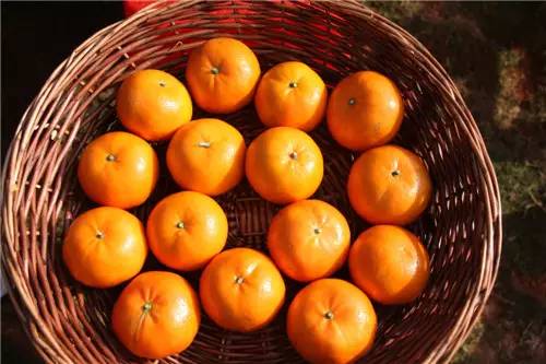 南宁适合春游前十个地方,南宁踏青去哪儿