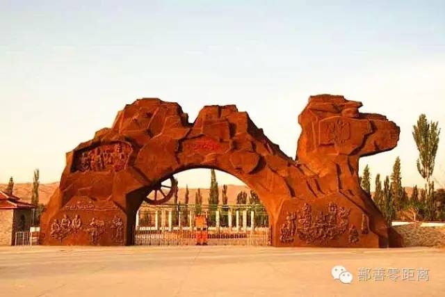 新疆鄯善骆驼,鄯善的骆驼