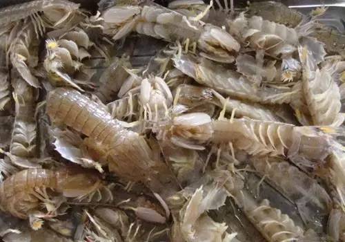 威海一月份当季海鲜,威海冬天海鲜种类