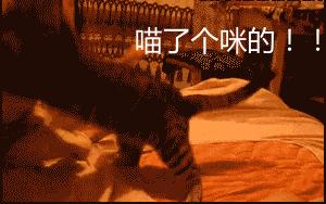 想当年,大公鸡它竟然啄了我的……!