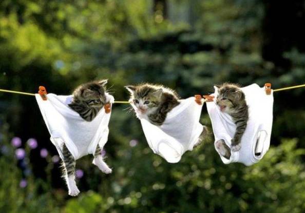 阿信一秒四破,阿信所有集锦