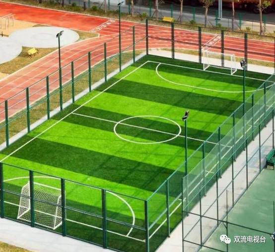 双流有哪些免费的足球场,成都双流24小时足球场