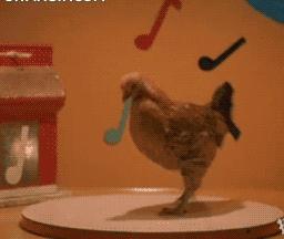 想当年,大公鸡它竟然啄了我的……!