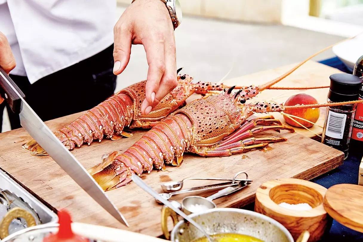 澳洲龙虾怎样捕,澳洲淡水龙虾抓虾方法