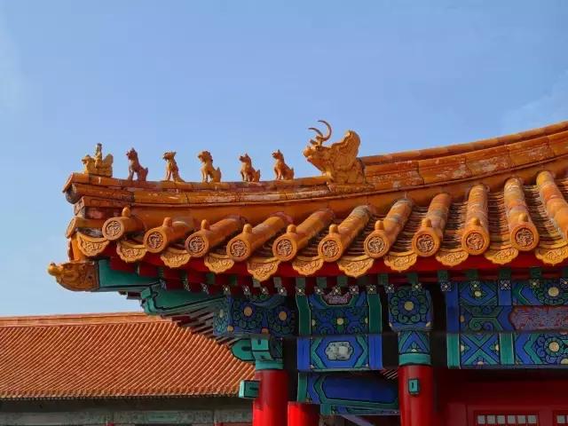 一次不回家的旅行,一次不出门的旅行