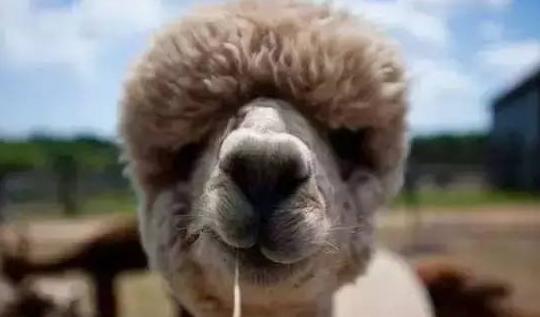 咸阳一室一厅的房子现在什么价格,咸阳一套复式的房子多少钱