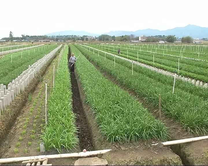 农村淘宝网购农资,农村淘宝春耕农资送到家