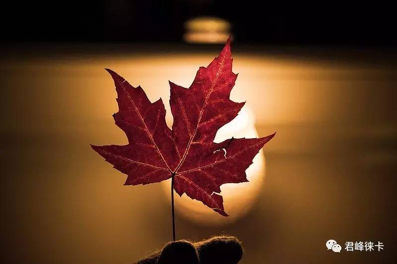 leica徕卡相机,leica徕卡摄影