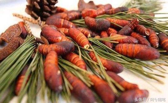 适合在农村创业的十大好项目推荐,5种适合农村人创业的小投入项目