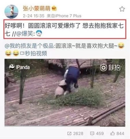 王思聪是男主角的小说,有没有男主是王思聪为原型的小说