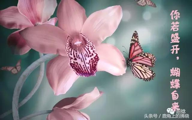 你所谓的人脉不过是一种资源置换,所谓人脉其实就是实力