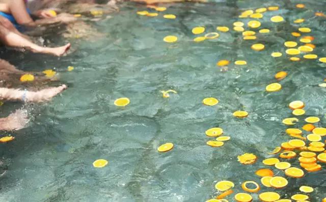 阳春三月赏桃花节 (阳春三月桃花节图片)