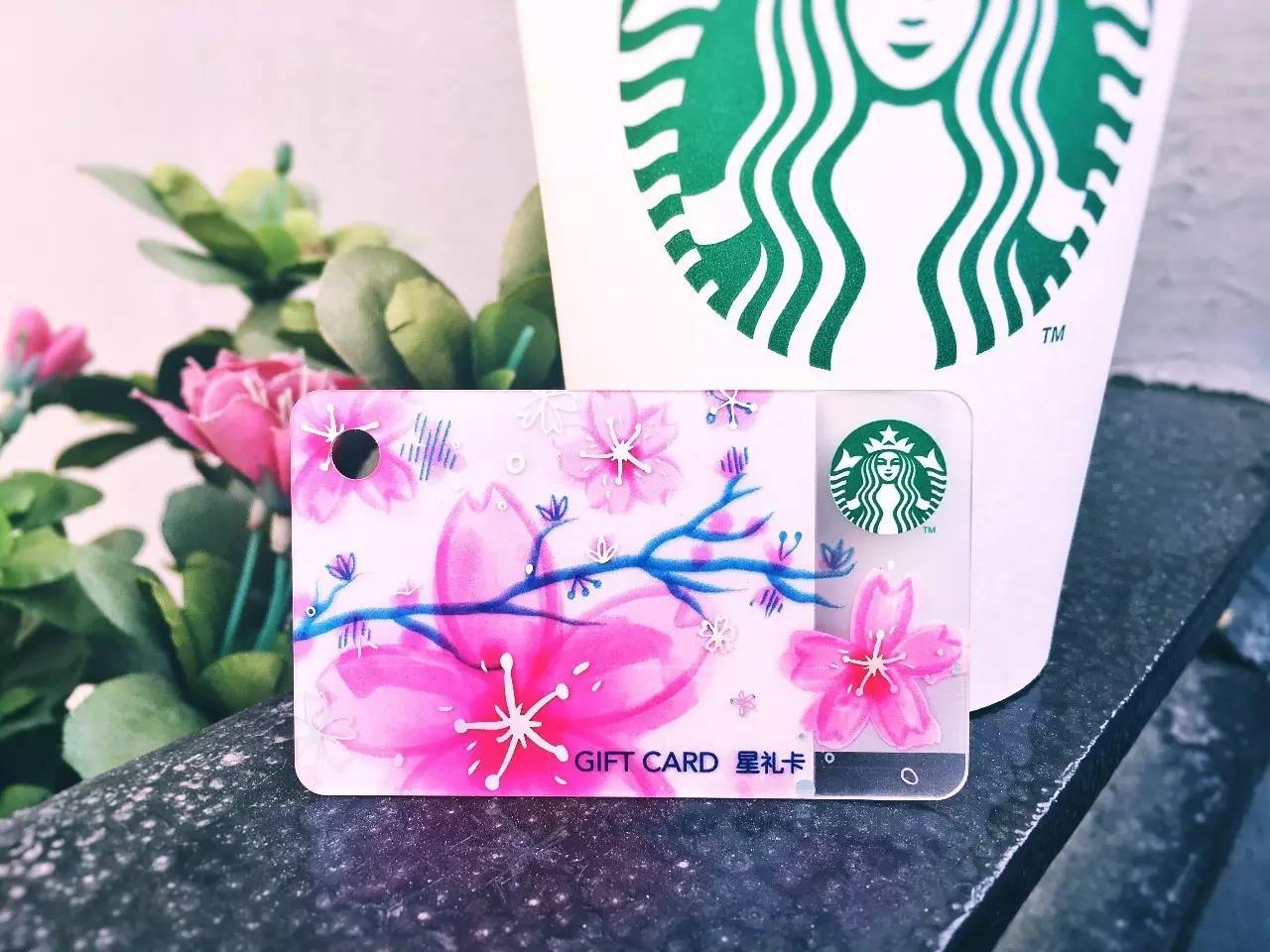 星巴克樱花官方,2022年星巴克樱花新品