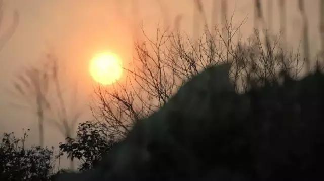 江苏泰兴黄桥镇发展,江苏省泰兴市黄桥镇最新发展