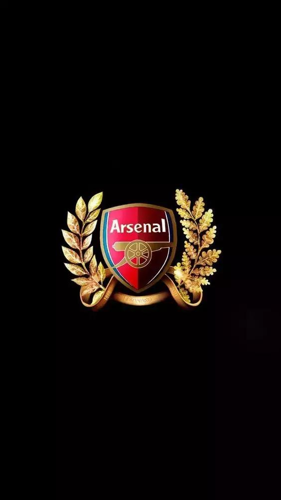 阿森纳温格壁纸,阿森纳亨利壁纸