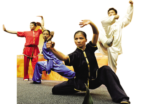 武术家韩建中先生谈“武术与功夫”