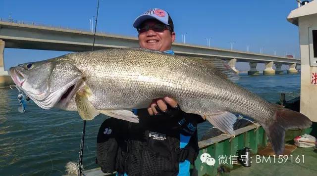 路亚教学口诀,经典路亚新手入门教程