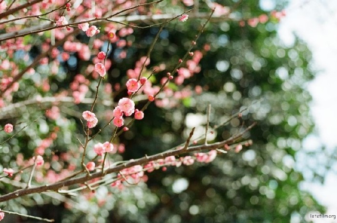 面对很自私的男人,面对特别小气的男人怎么办