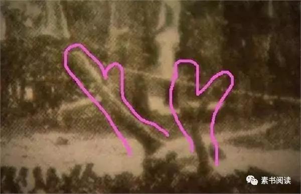 龙是不是一种气体生物,龙是否一种原始的两栖动物