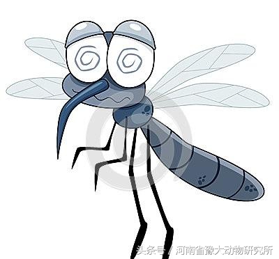 猪场四害的防控措施,夏季猪场多发的疾病