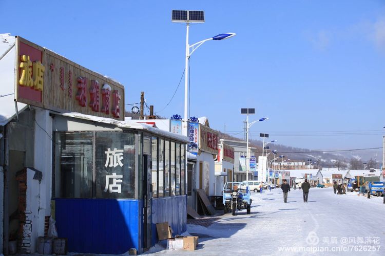 白狐千年等待只为今生相遇,白狼一生只爱一人