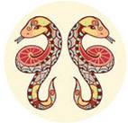 十二星座的专属口红你都有了吗,24个星座的口红