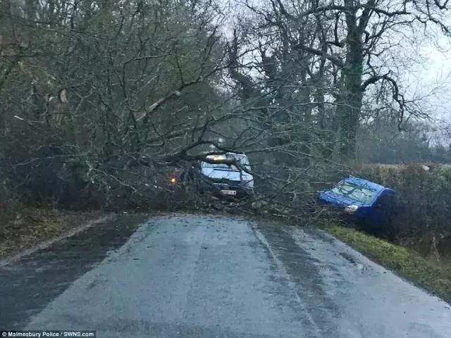 “杀人”狂风Doris席卷英国！结果又被腐国人民玩坏了……
