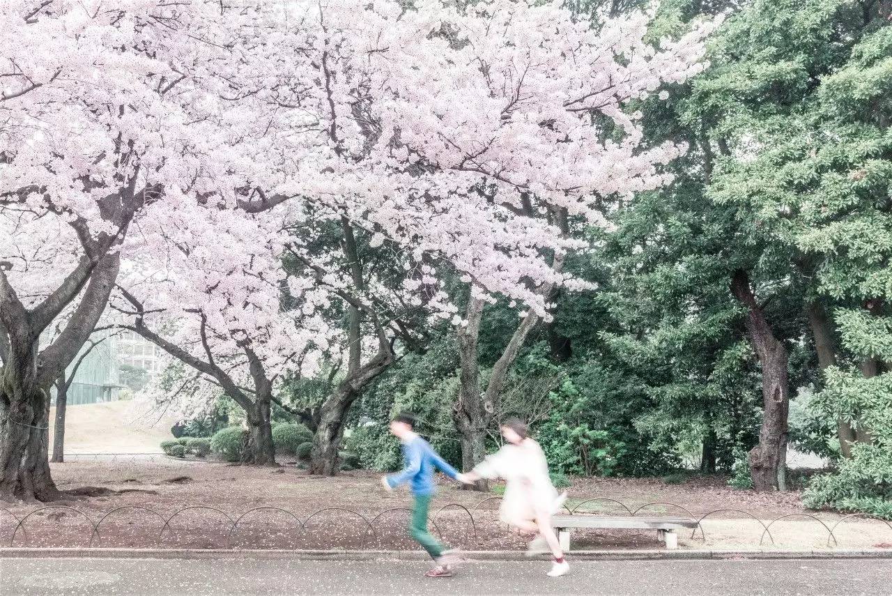 您的《旅行自拍秘籍》到货，请签收！