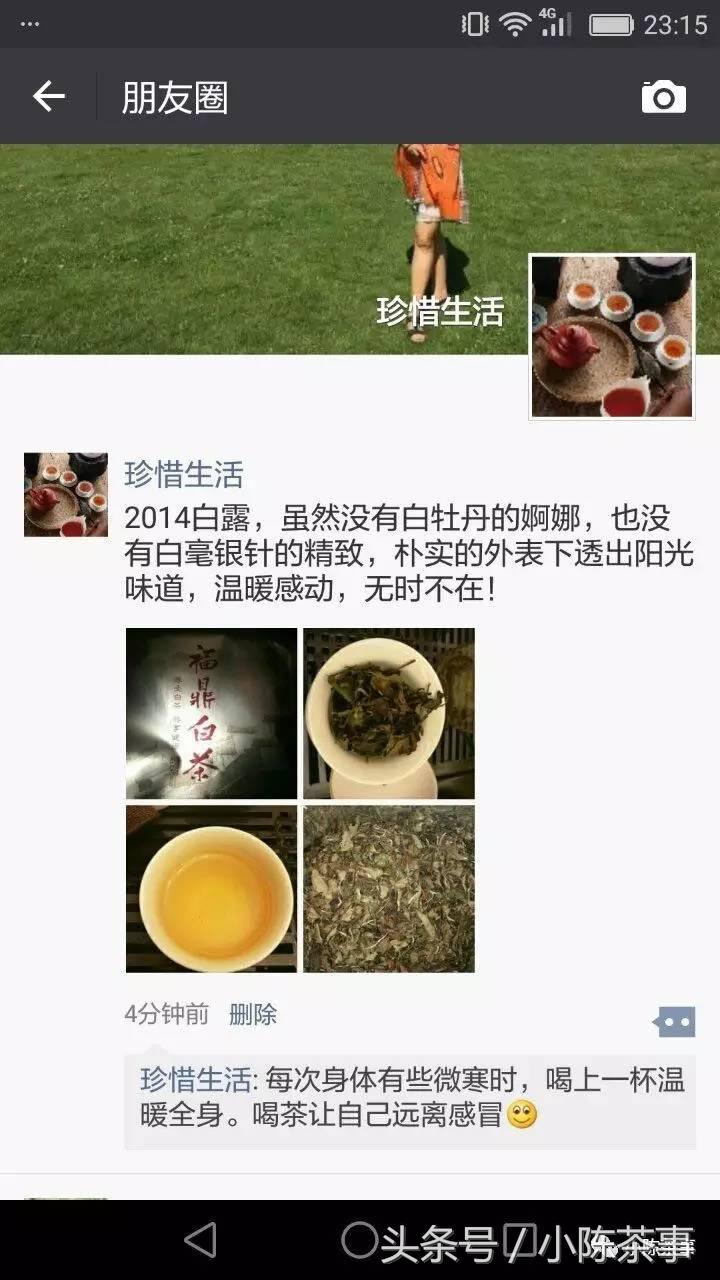 15年白露茶散茶,2019年的白露茶