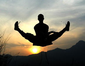 武术家韩建中先生谈“武术与功夫”