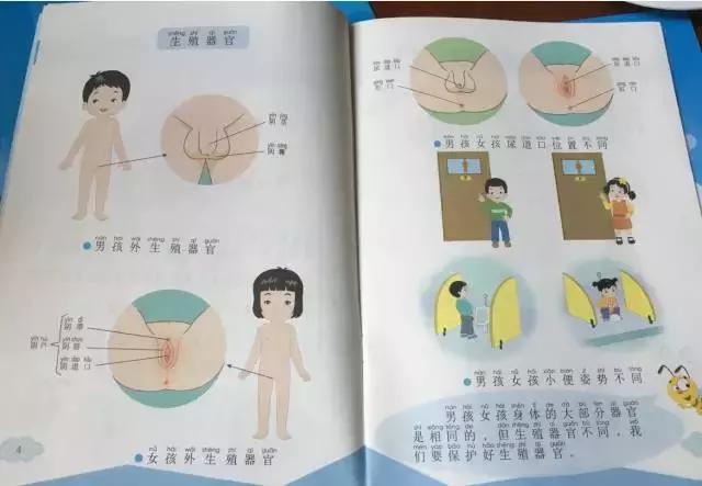 是的，我教小学生正确地念“*丸睾**”，因为这很必要