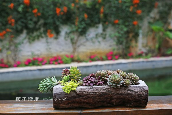 居于涟岸隐于湖,到肇庆体验离尘不离城的精致慢生活