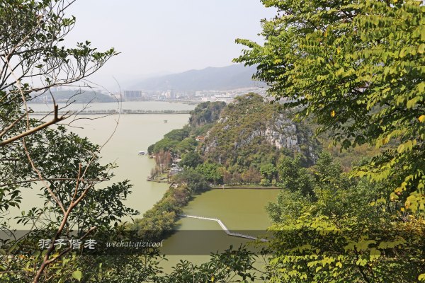 居于涟岸隐于湖，到肇庆体验离尘不离城的精致慢生活