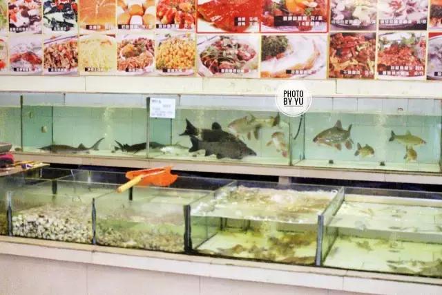 就是这个“肥坚”,十七年的默默坚守,用手工邕菜安慰老南宁的魂