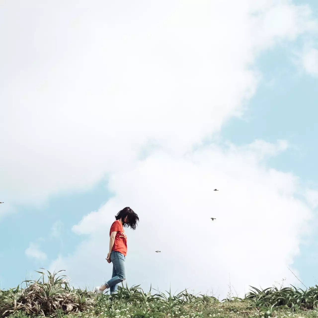 您的《旅行自拍秘籍》到货，请签收！