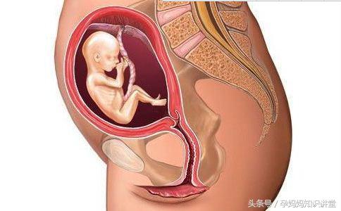 妊娠36周哪些表现是正常的,孕33-36周注意事项