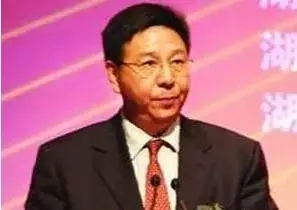 卢煜光东莞富豪榜,胡润东莞富豪榜