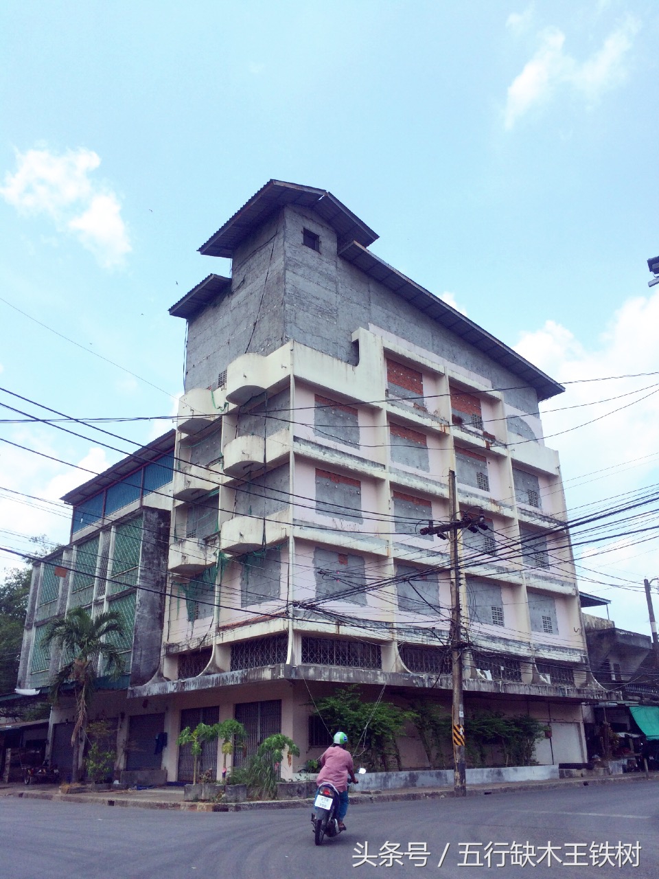 泰国燕窝什么工艺,泰国燕窝知识