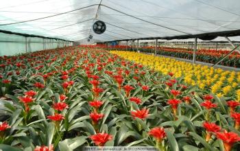 2017年下一个蓝海在农村,马上挣到人生的第一桶金