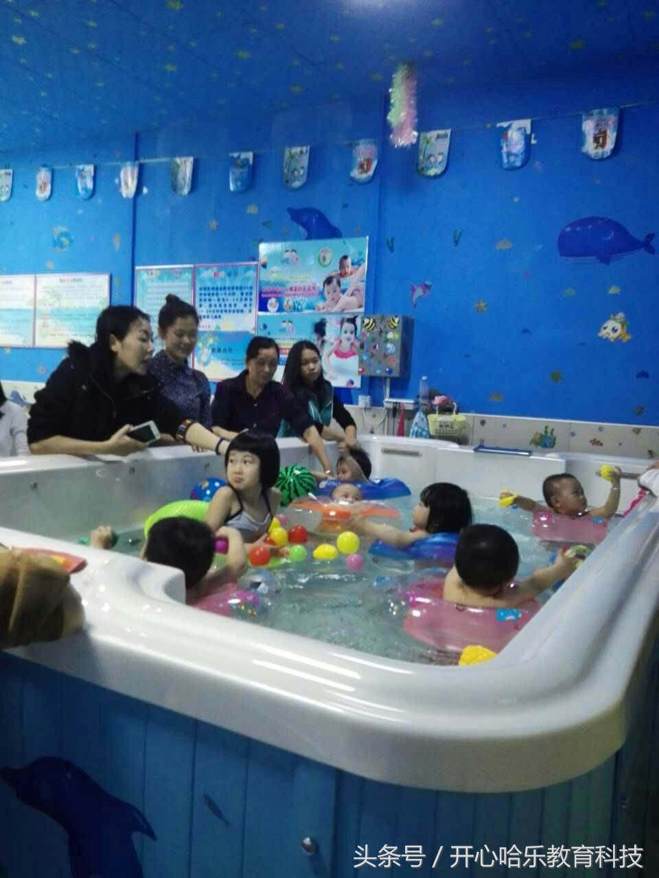 婴儿游泳馆加盟盈利,婴儿游泳馆加盟市场前景到底怎样