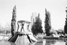 沙滩上偶然发现一个奇怪的石头,在野外意外发现巨大钻石