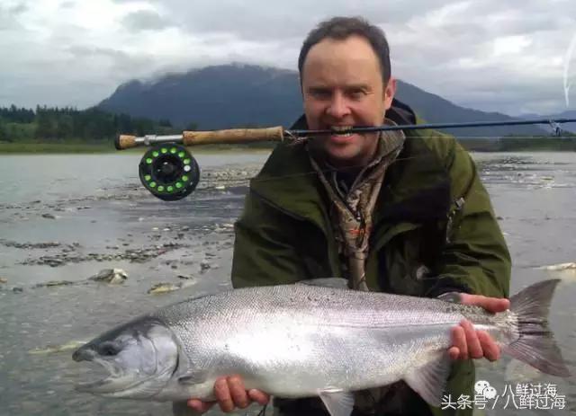 加拿大bc省鲟龙鱼,加拿大bc省鳕鱼