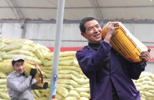 2020年肥料抽查不合格产品名单,抽检化肥不合格案例分析