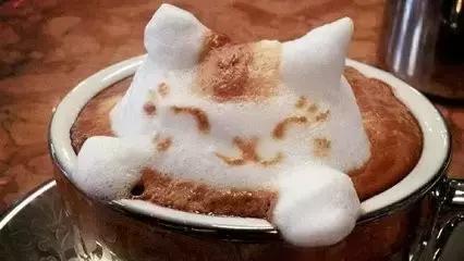 五款爆款奶茶测评,网红奶茶很少人买的测评