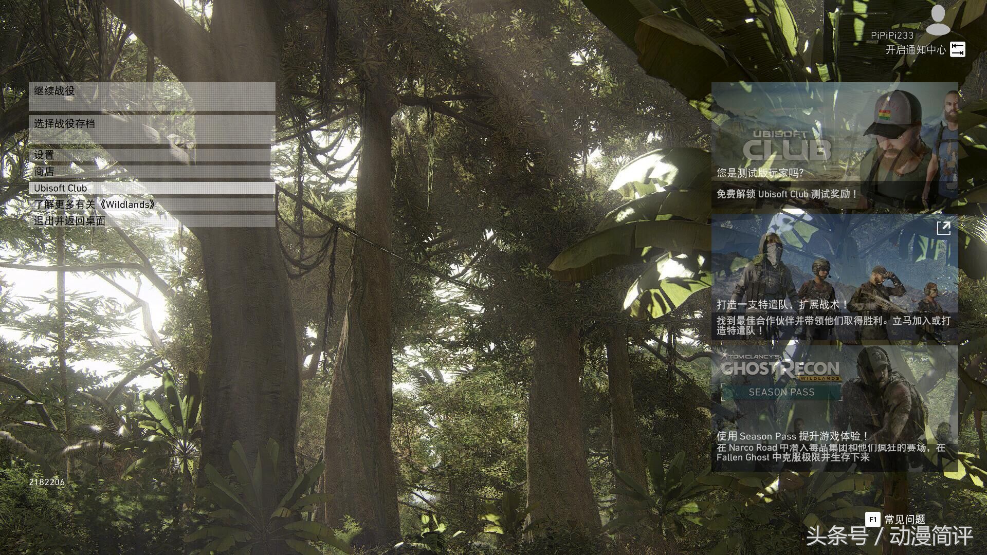 幽灵行动荒野育碧版是什么意思,育碧新作幽灵行动