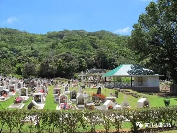 塞舌尔游记,塞舌尔埃及