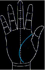 手的生命线是越长越好吗,手纹上的生命线越长越好吗