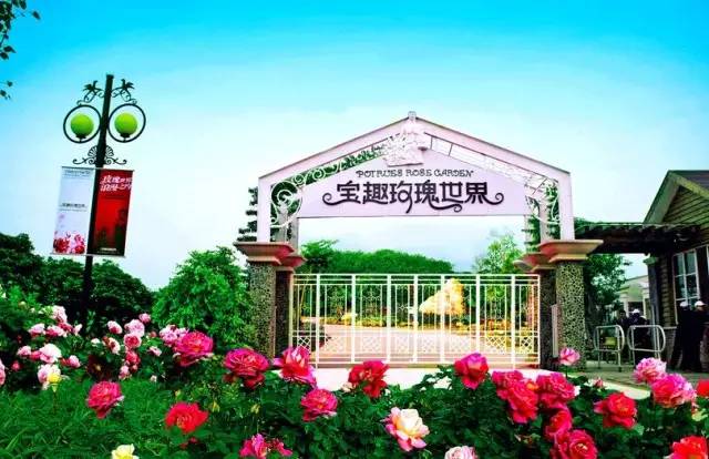 广州游玩攻略一天排行榜,广州免费景点大全排名榜