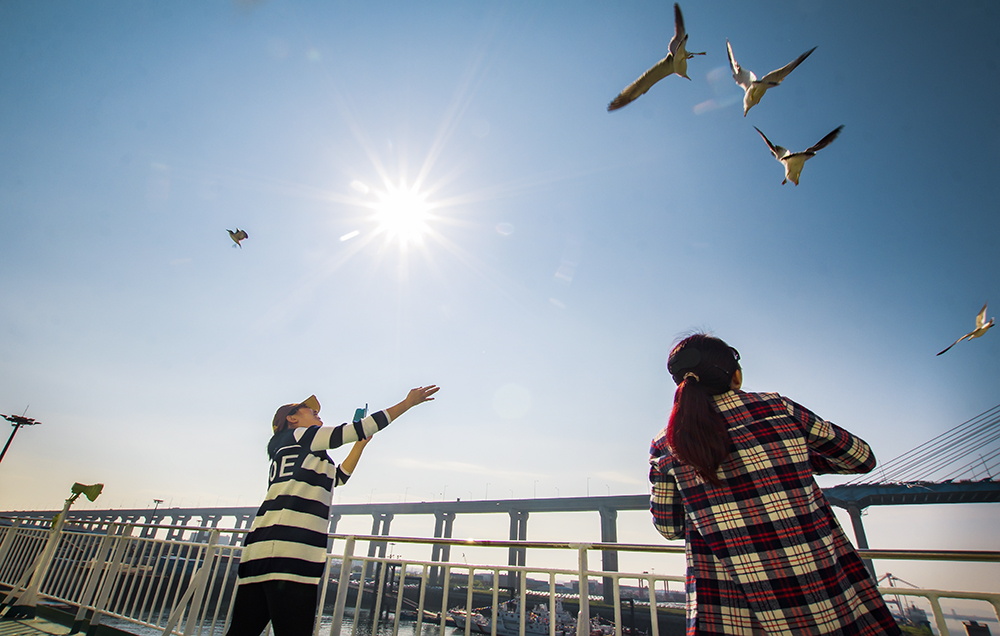 闊╁浗涔愬ぉ涓栫晫 (闊╁浗棣栧皵涔愬ぉ涓栫晫)