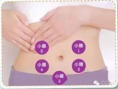 健康养生中医腹部推拿,国医大师健康经络操